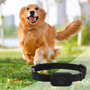 Coleira Smart Tracker Pet™ – Localizador GPS com Ap
